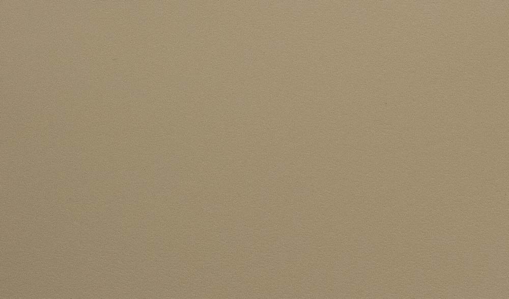 D5 - cuoio olimpia - 003