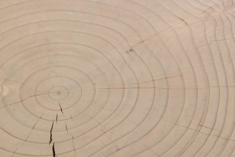 A9 — отделка контрактный кедр (Essence доступен только для использования внутри помещений)