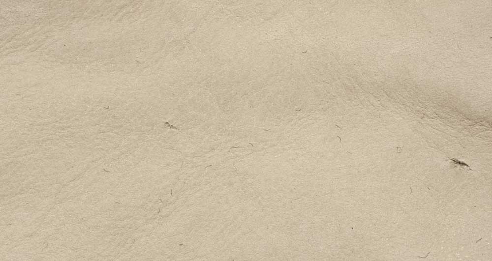 D3 - leather camoscio - 1