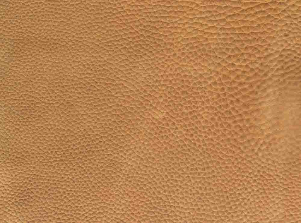 D4 - leder utah - 101