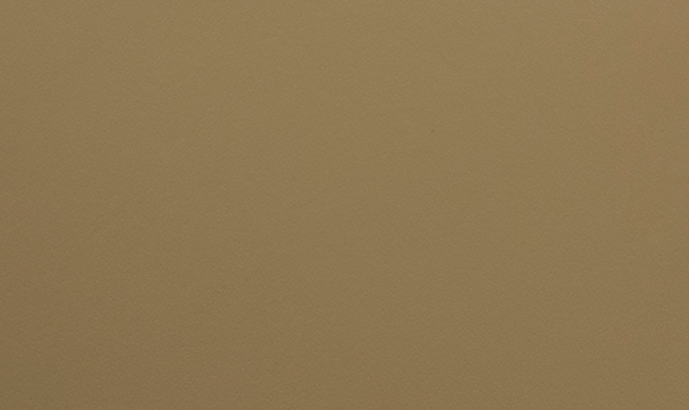 D5 - кожа olimpia - 008