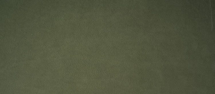 D4 - pelle nabuk - 36