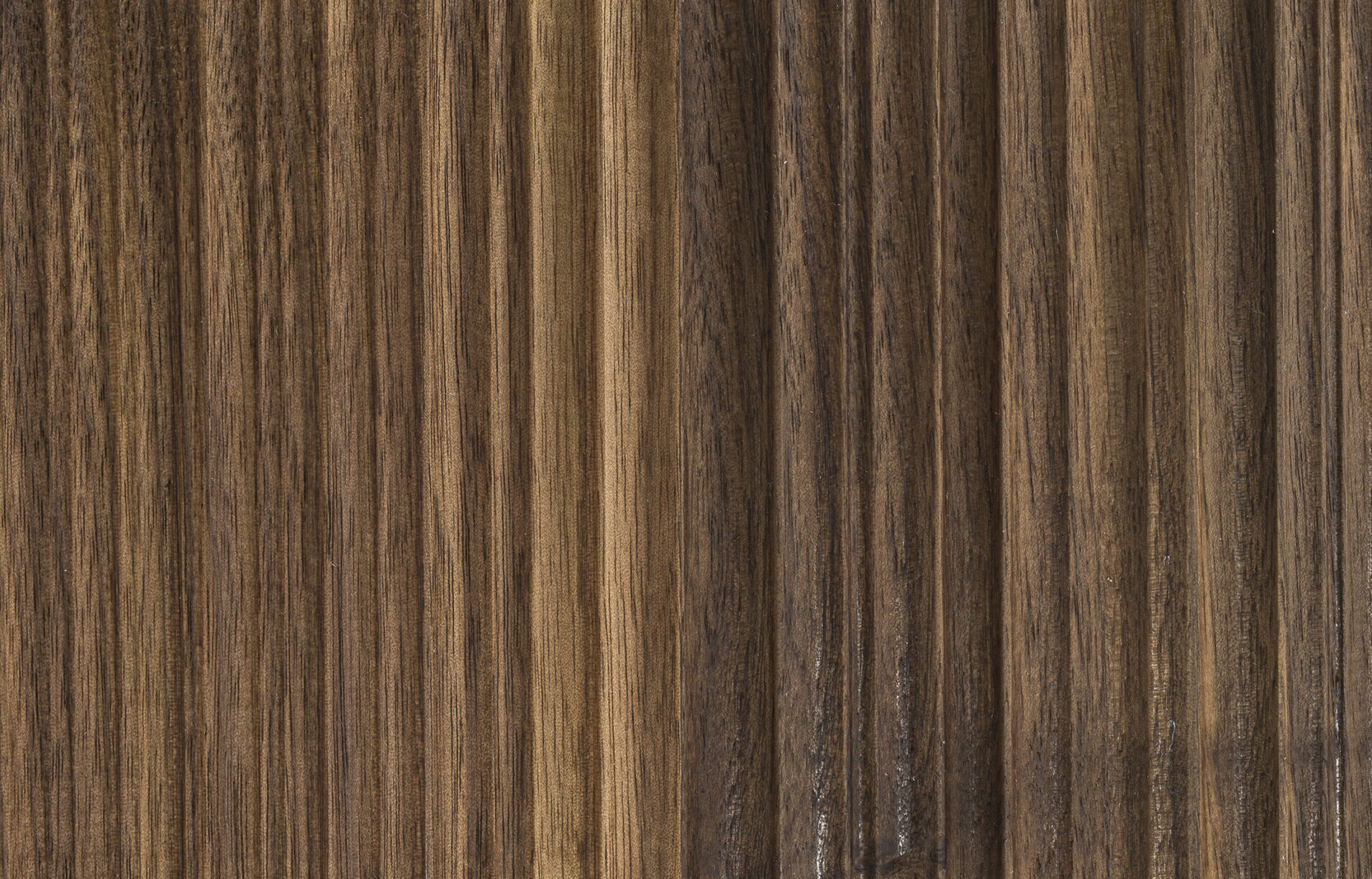 Fresart walnuss bewegt